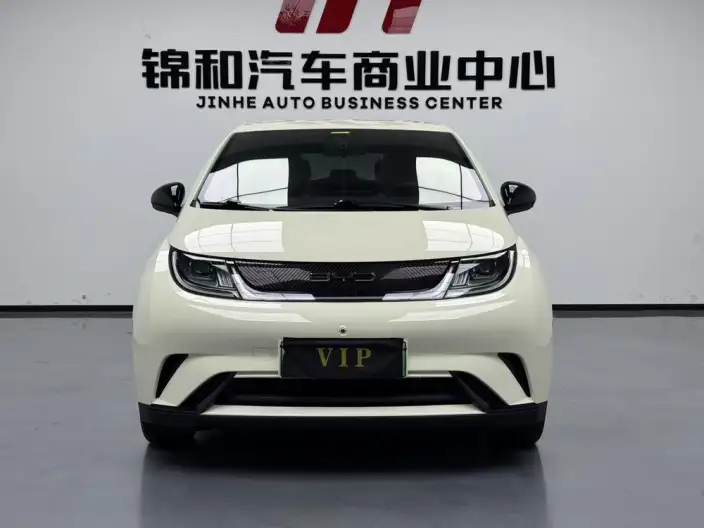 BYD Dolphin 2024 Model Honor Edition 420km Free Edition – фото 2