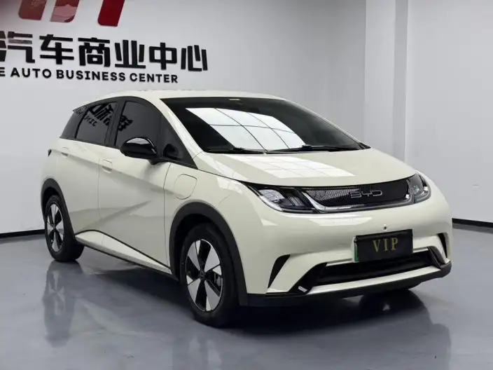 BYD Dolphin 2024 Model Honor Edition 420km Free Edition – фото 3