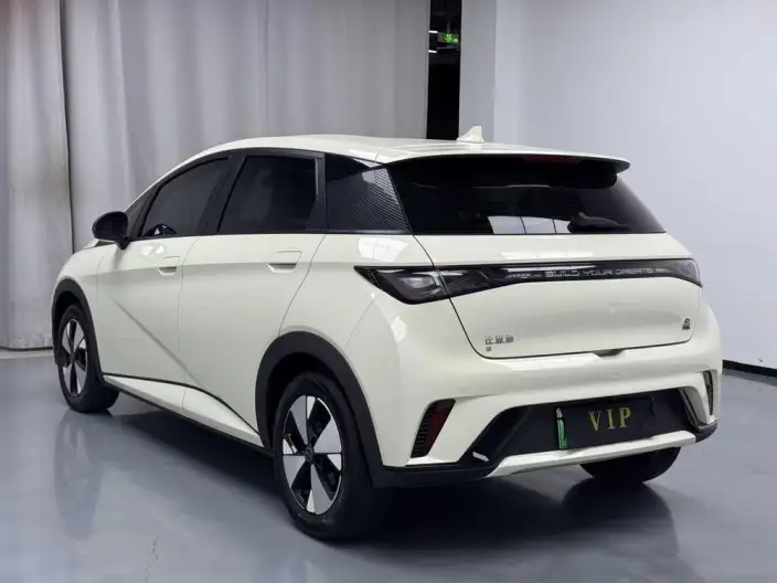 BYD Dolphin 2024 Model Honor Edition 420km Free Edition – фото 4