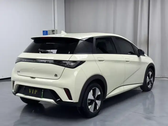 BYD Dolphin 2024 Model Honor Edition 420km Free Edition – фото 5