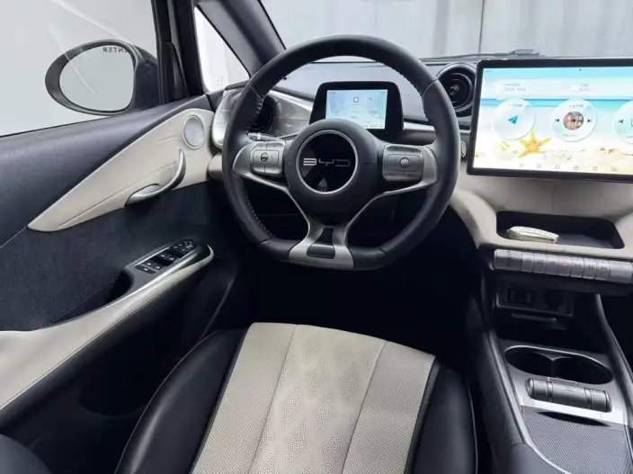 BYD Dolphin 2024 Model Honor Edition 420km Free Edition – фото 8