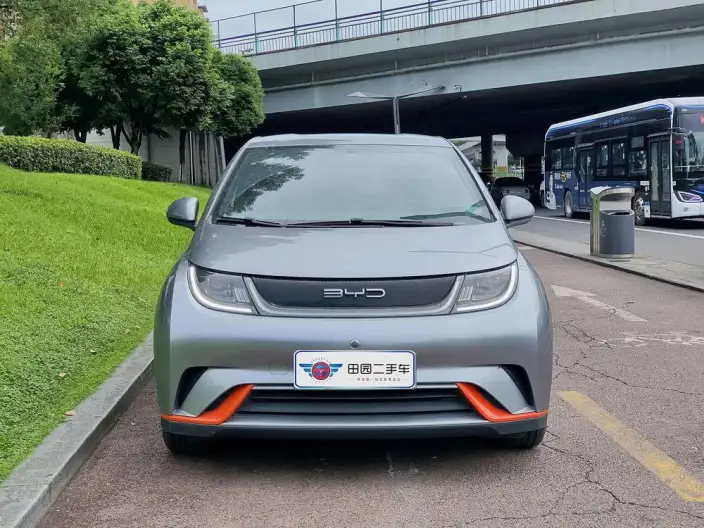 BYD Dolphin 2021 Model Free Edition – фото 2