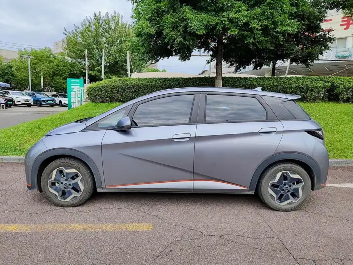 BYD Dolphin 2021 Model Free Edition – фото 3