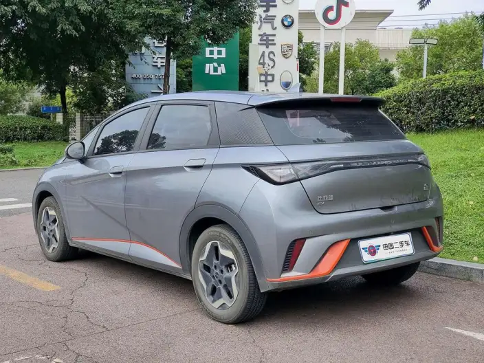 BYD Dolphin 2021 Model Free Edition – фото 4