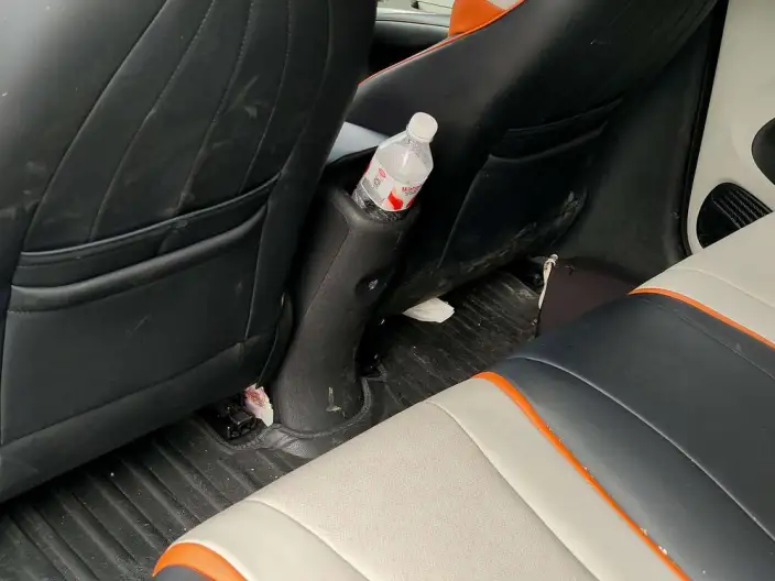 BYD Dolphin 2021 Model Free Edition – фото 9