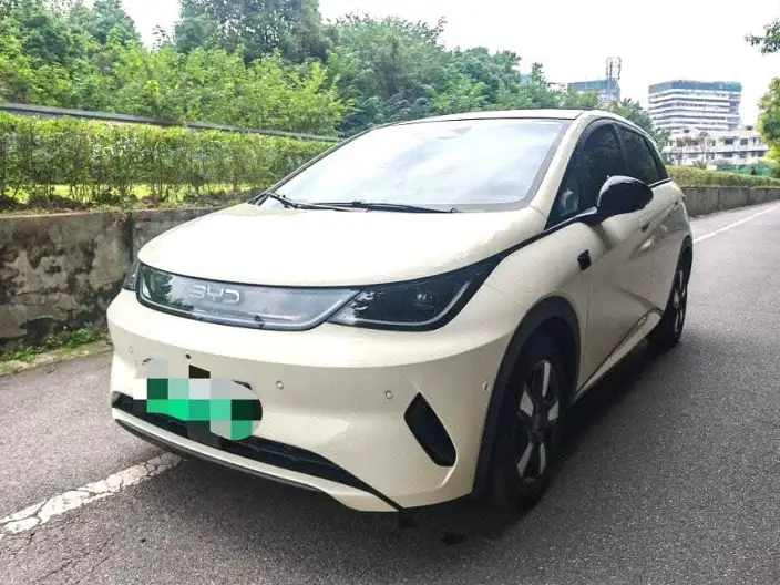 BYD Dolphin 2025 Model Smart Driving Edition 410KM Fashion Edition – фото 1