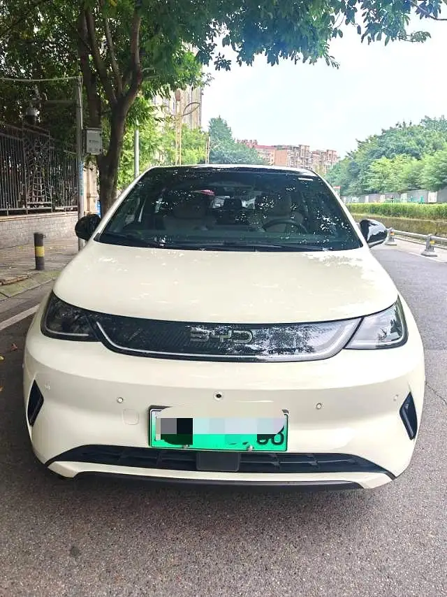 BYD Dolphin 2025 Model Smart Driving Edition 410KM Fashion Edition – фото 2