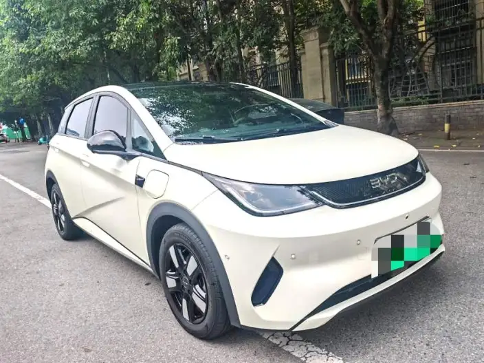 BYD Dolphin 2025 Model Smart Driving Edition 410KM Fashion Edition – фото 3