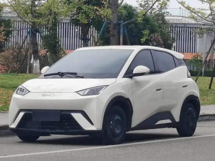 BYD Seagull 2024 Model Honor Edition 305KM Vitality Edition – фото 1