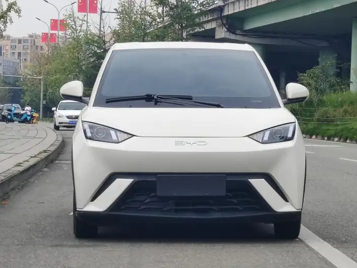BYD Seagull 2024 Model Honor Edition 305KM Vitality Edition – фото 2