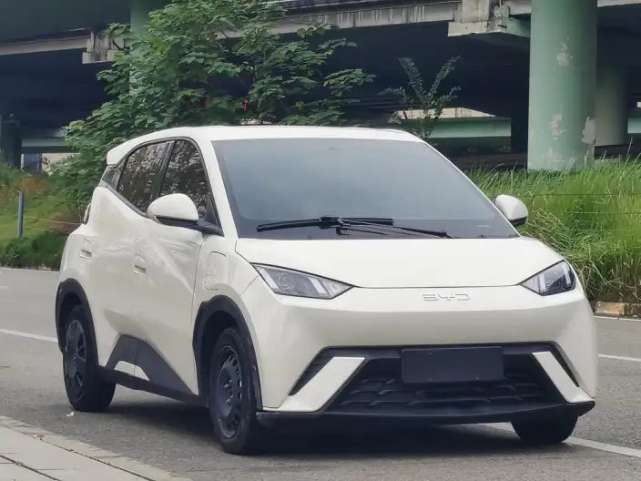 BYD Seagull 2024 Model Honor Edition 305KM Vitality Edition – фото 3