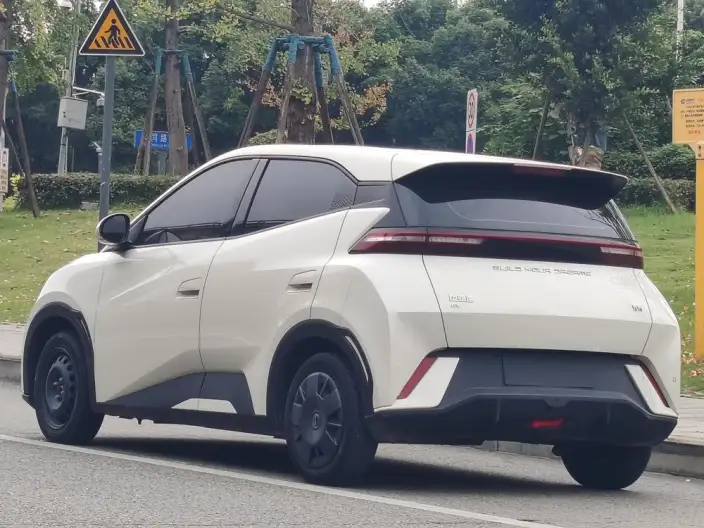 BYD Seagull 2024 Model Honor Edition 305KM Vitality Edition – фото 4