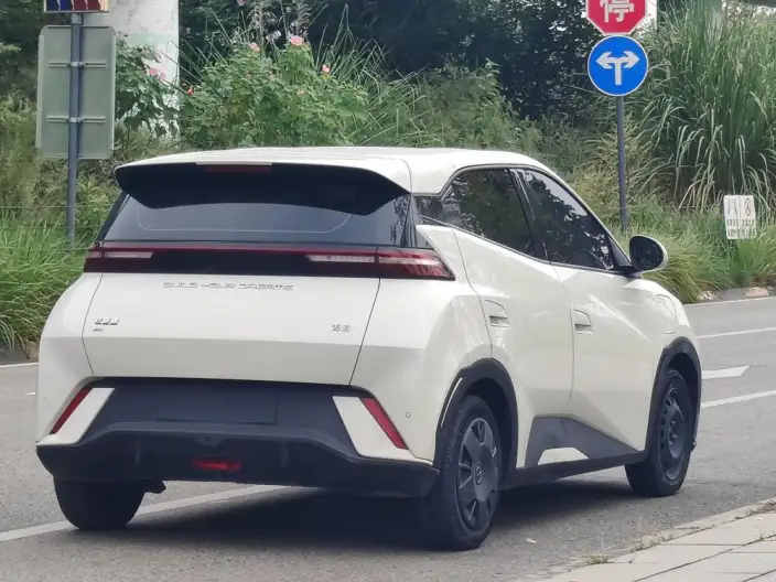 BYD Seagull 2024 Model Honor Edition 305KM Vitality Edition – фото 6