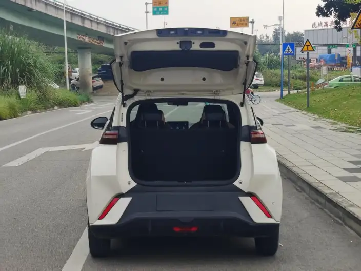 BYD Seagull 2024 Model Honor Edition 305KM Vitality Edition – фото 7