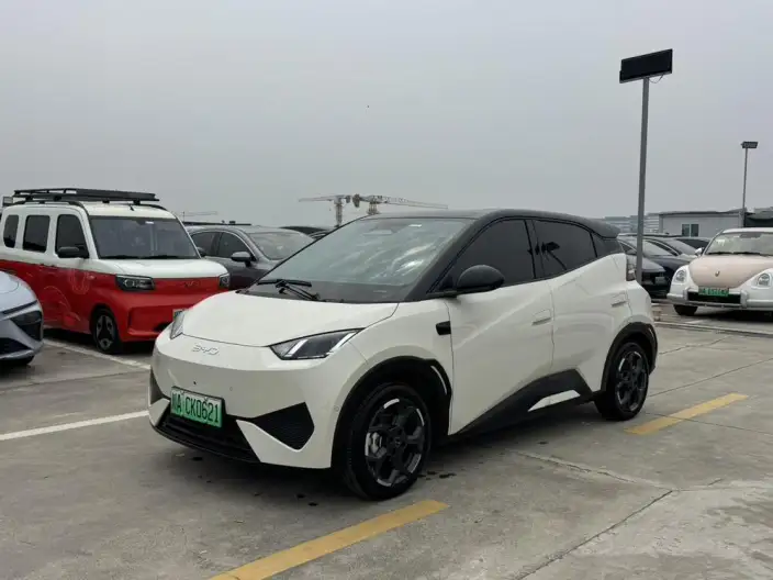 BYD Seagull 2025 Model Smart Driving Edition 305KM Free Edition – фото 1