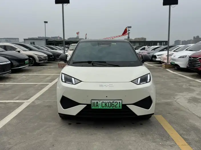 BYD Seagull 2025 Model Smart Driving Edition 305KM Free Edition – фото 2