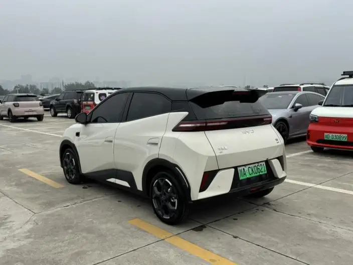 BYD Seagull 2025 Model Smart Driving Edition 305KM Free Edition – фото 4