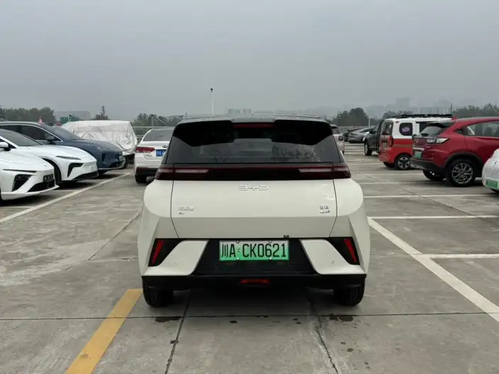BYD Seagull 2025 Model Smart Driving Edition 305KM Free Edition – фото 5
