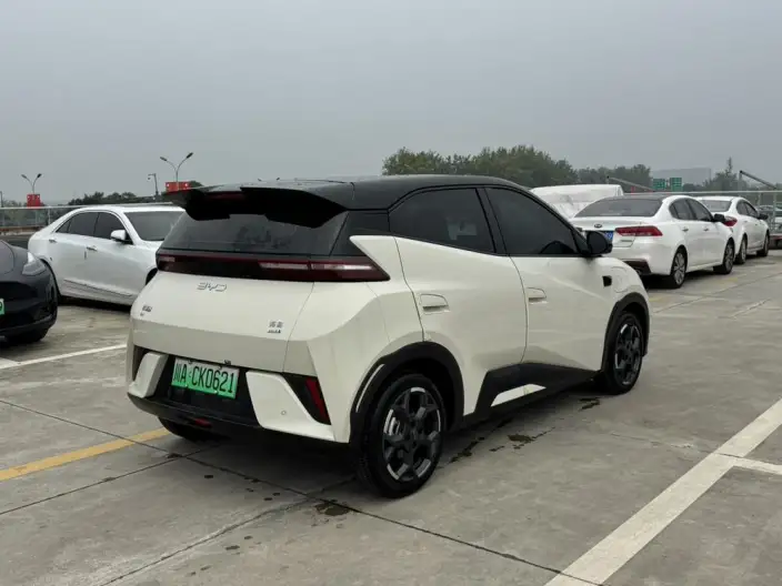 BYD Seagull 2025 Model Smart Driving Edition 305KM Free Edition – фото 6