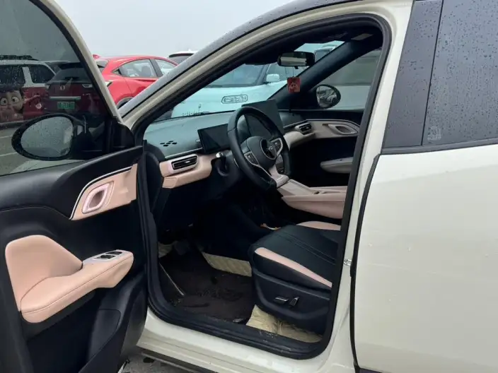 BYD Seagull 2025 Model Smart Driving Edition 305KM Free Edition – фото 10
