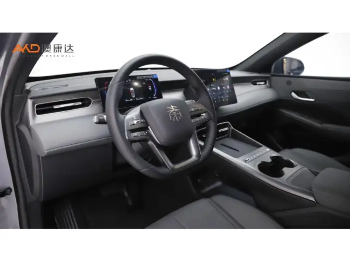 BYD Qin PLUS DM 2025 Model Smart Driving Edition DM-i 128KM Enterprising Model – фото 6