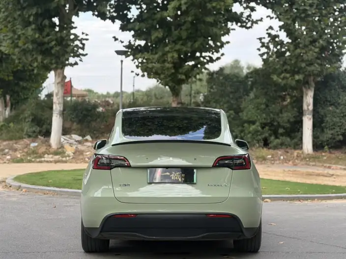 Model Y 2024 Model Rear-wheel drive version – фото 5