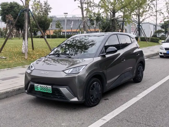 BYD Seagull 2024 Model Honor Edition 305KM Vitality Edition