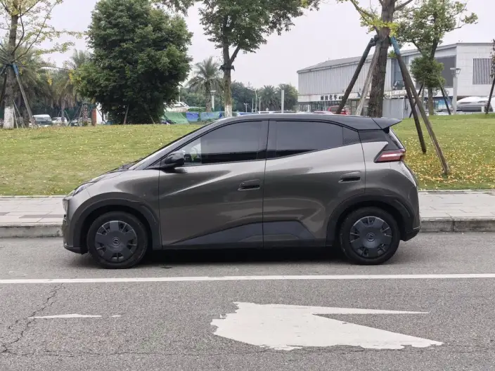 BYD Seagull 2024 Model Honor Edition 305KM Vitality Edition