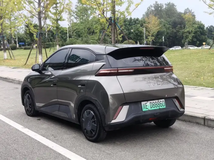 BYD Seagull 2024 Model Honor Edition 305KM Vitality Edition – фото 5