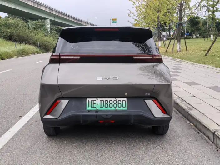 BYD Seagull 2024 Model Honor Edition 305KM Vitality Edition – фото 6
