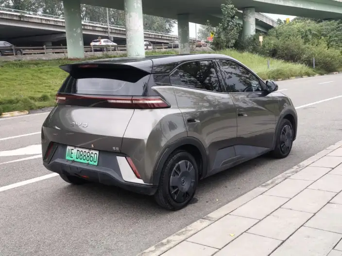 BYD Seagull 2024 Model Honor Edition 305KM Vitality Edition – фото 7
