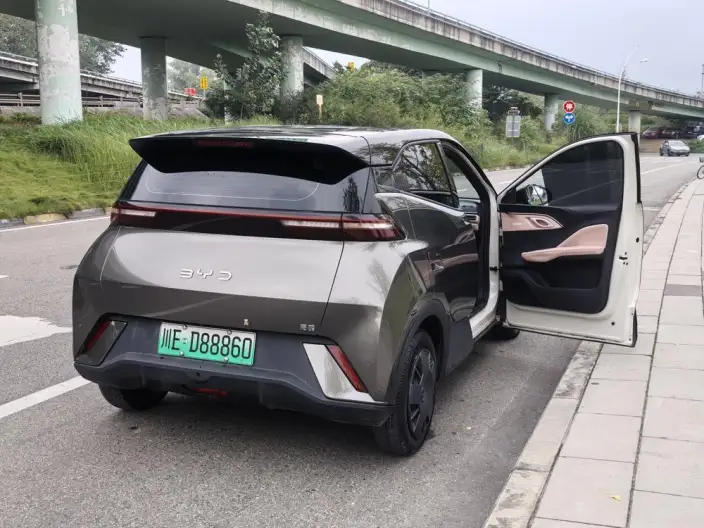 BYD Seagull 2024 Model Honor Edition 305KM Vitality Edition – фото 9