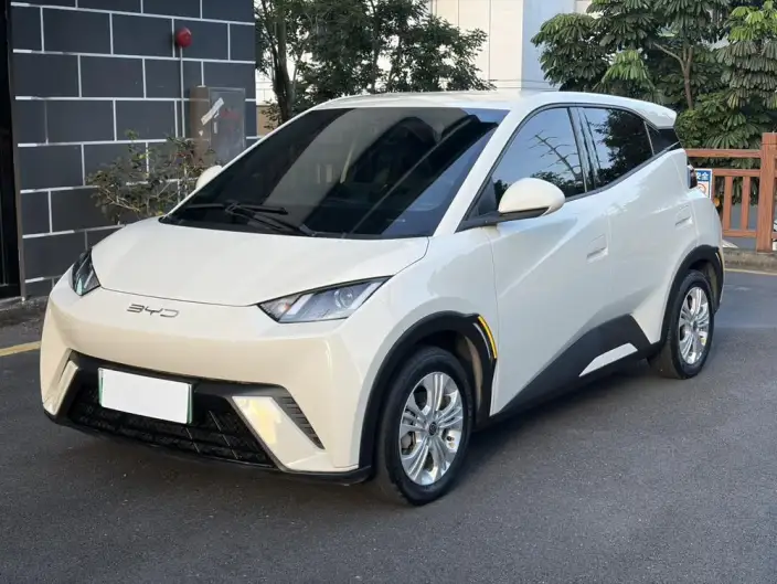 BYD Seagull 2023 Model Vitality Edition