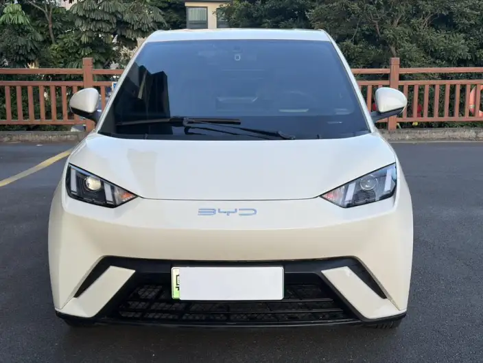 BYD Seagull 2023 Model Vitality Edition
