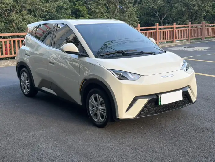 BYD Seagull 2023 Model Vitality Edition