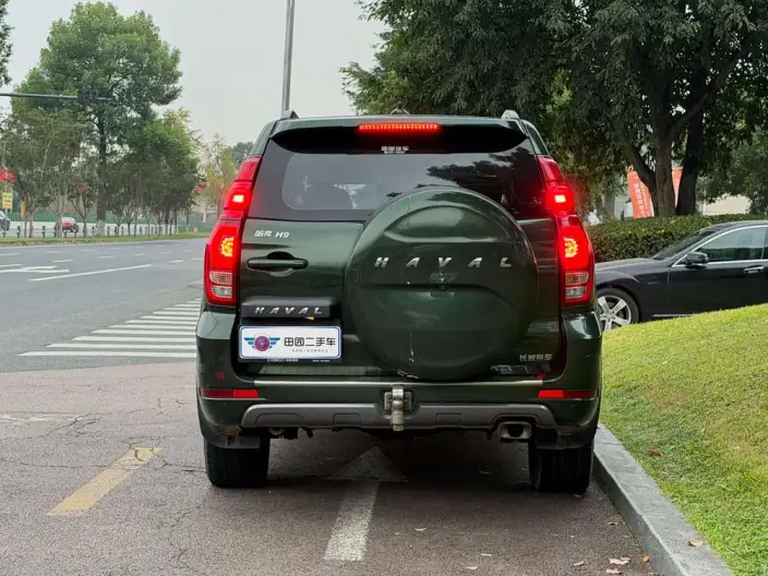 Haval H9 2020 Model 2.0T Petrol 4WD Luxury Model 7 seat – фото 5