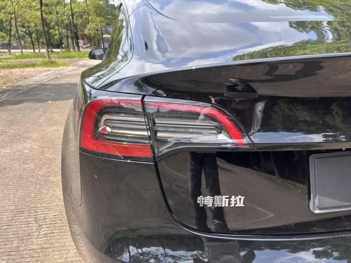 Model 3 2022 Model Rear-wheel drive version – фото 8