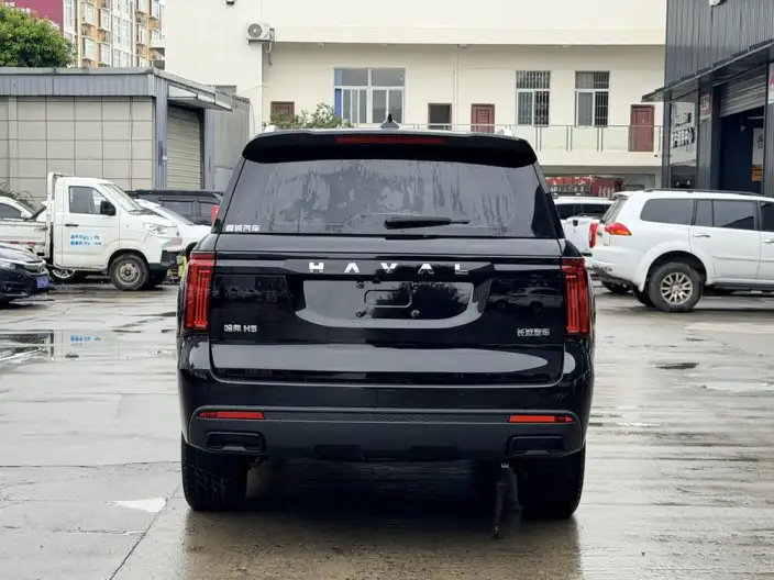 Haval H5 2023 Model 2.0T Diesel Ling Innovation Automatic 4WD – фото 5