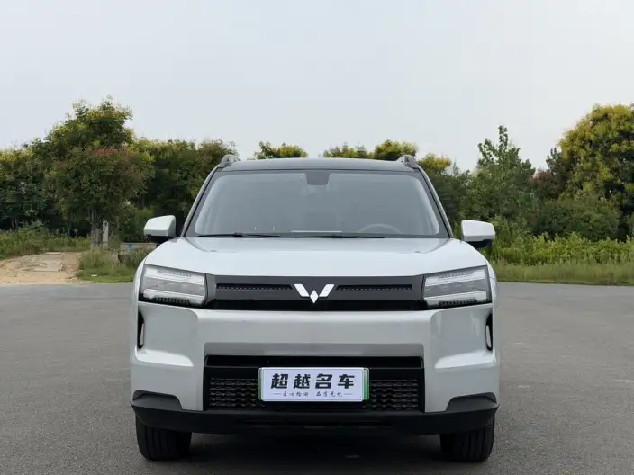 Xingguang 560 EV 2026 Model 500km Luxury Model – фото 2