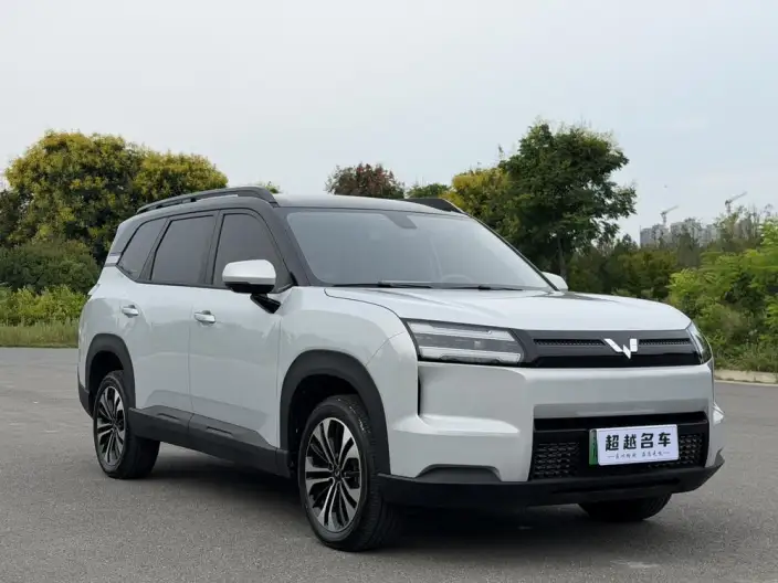Xingguang 560 EV 2026 Model 500km Luxury Model – фото 3