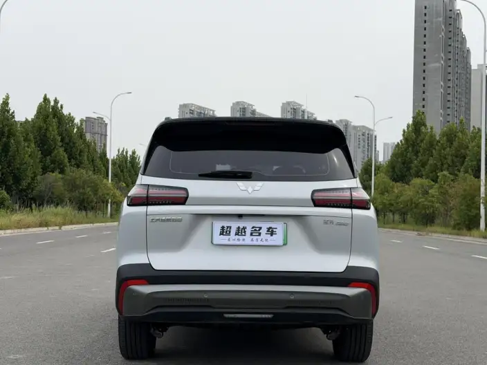 Xingguang 560 EV 2026 Model 500km Luxury Model – фото 5