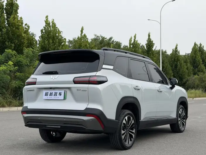 Xingguang 560 EV 2026 Model 500km Luxury Model – фото 6