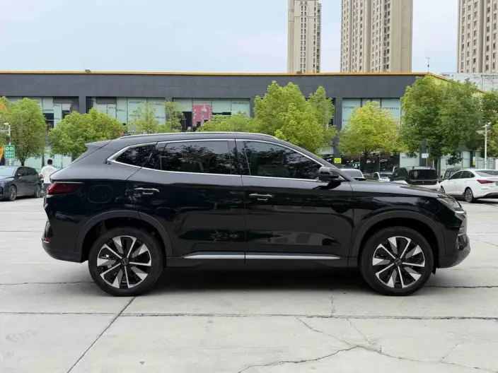 BYD Song PLUS DM 2025 Model DM-i 112KM Noble Model – фото 7
