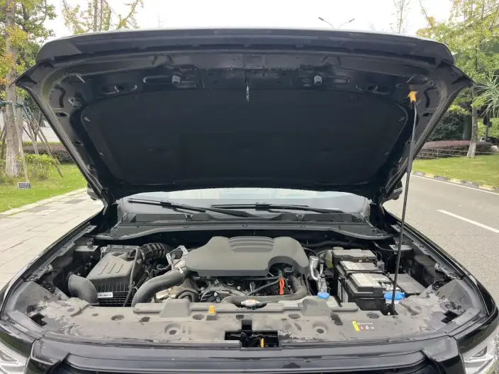 Haval H5 2025 Model 2.0T Diesel Pilot Automatic 4WD – фото 9