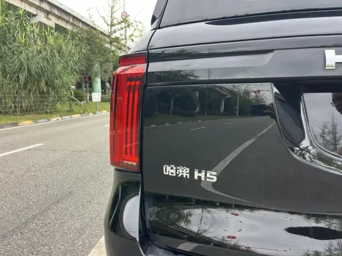 Haval H5 2025 Model 2.0T Diesel Pilot Automatic 4WD – фото 10