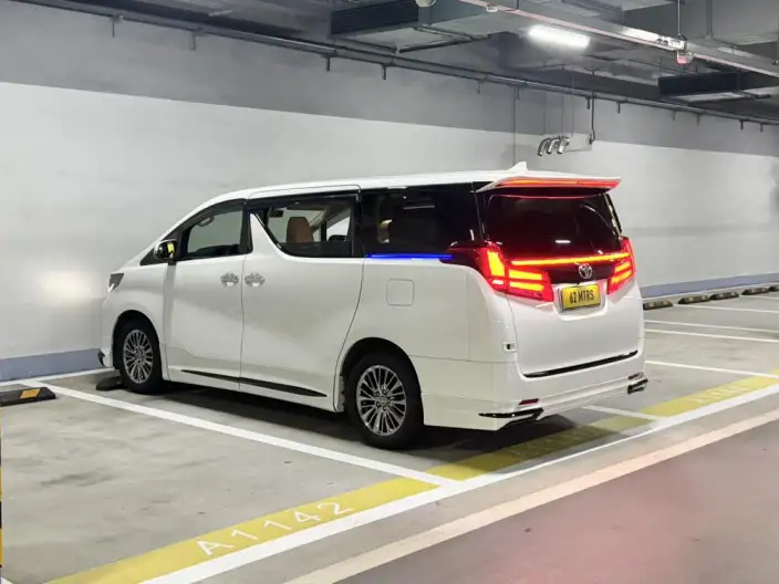 Elfa 2021 Model Hybrid 2.5L Deluxe Edition – фото 5