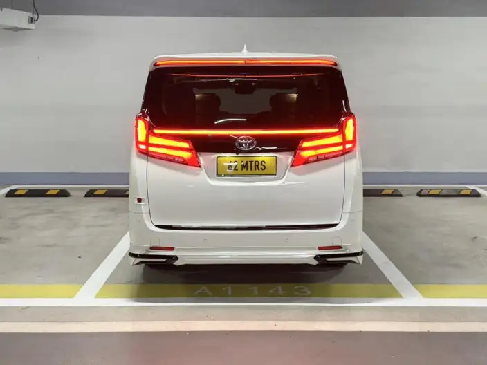 Elfa 2021 Model Hybrid 2.5L Deluxe Edition – фото 6