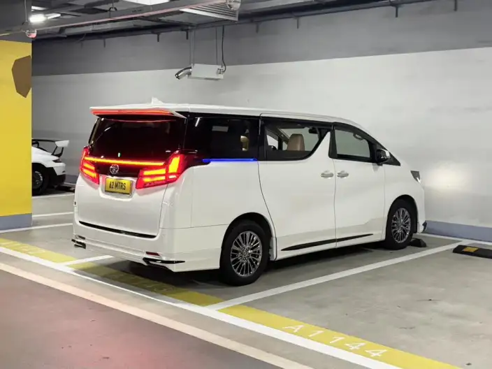 Elfa 2021 Model Hybrid 2.5L Deluxe Edition – фото 7