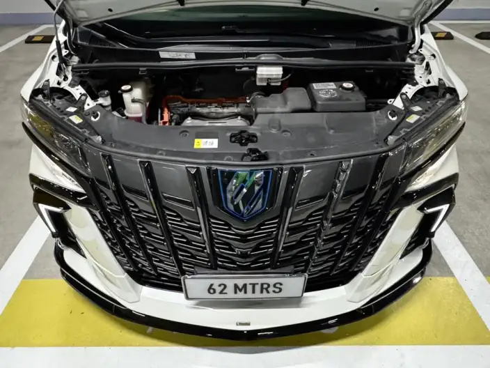 Elfa 2021 Model Hybrid 2.5L Deluxe Edition – фото 8