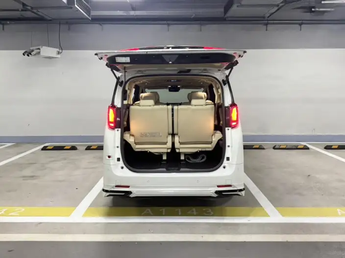 Elfa 2021 Model Hybrid 2.5L Deluxe Edition – фото 10